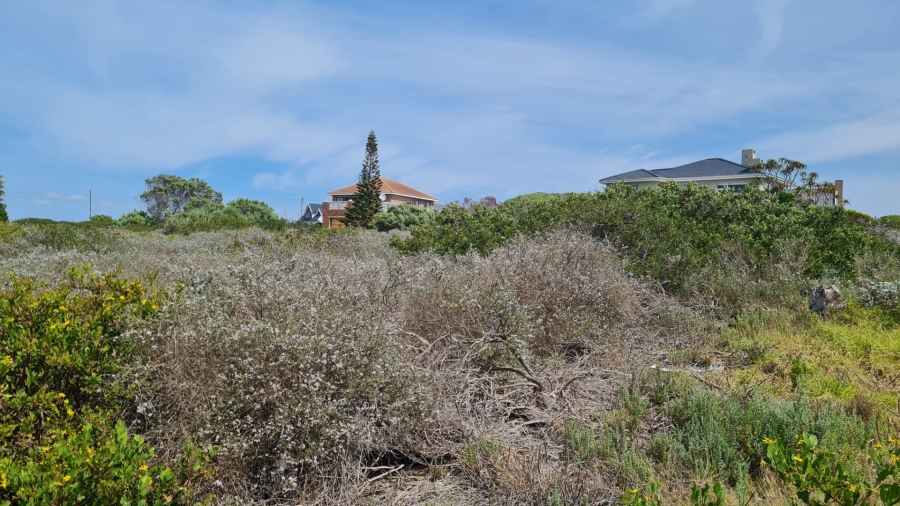 Commercial Property for Sale in Boggomsbaai Western Cape